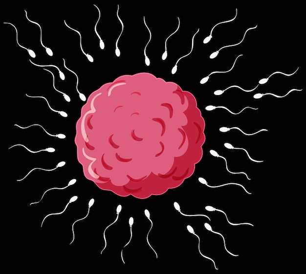 Определение Helicobacter pylori по антителам IgG