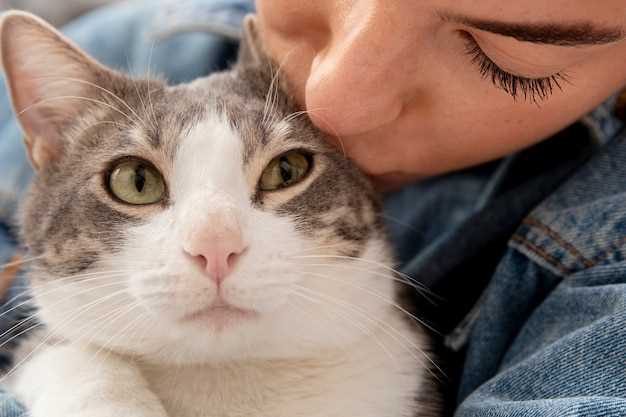 Функции носа у маленьких котят