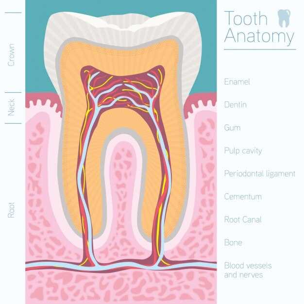 Симптомы кисты на корне зуба